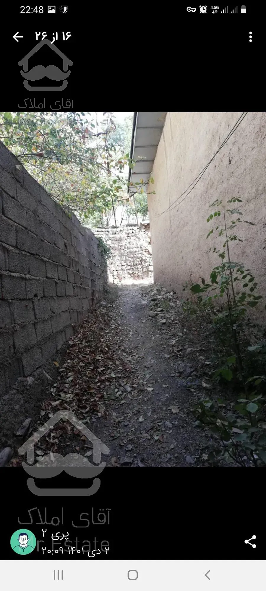 باغ گردو در روستای امیری آمل