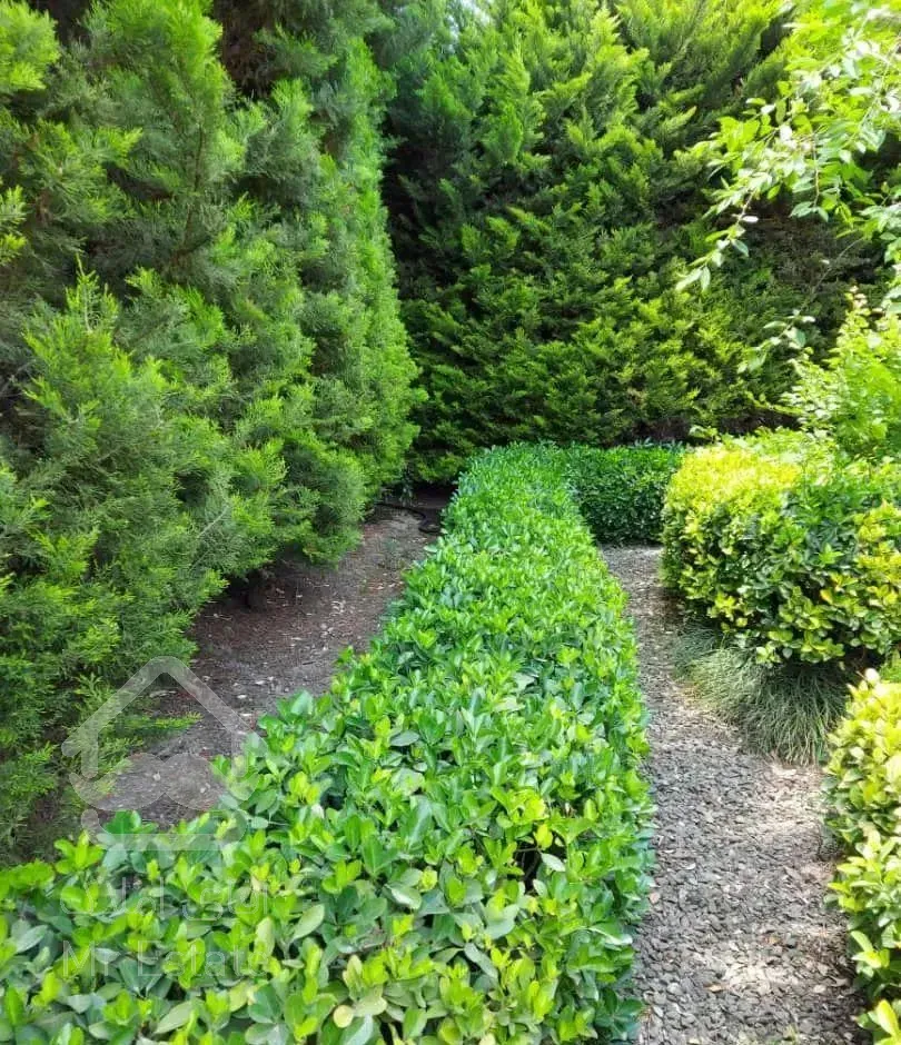 فروش فوری ویلا در بهترین لوکیشین بلوار معلم