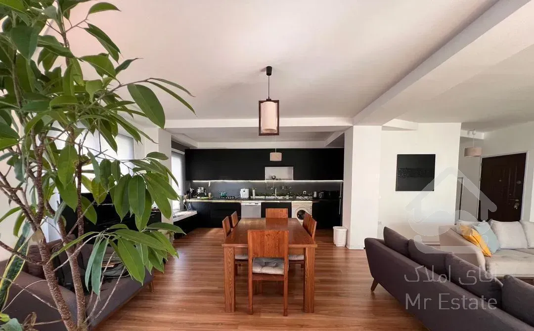 ۱۱۰ متر دیزاین کامل نورگیری قوی بدون هزینه