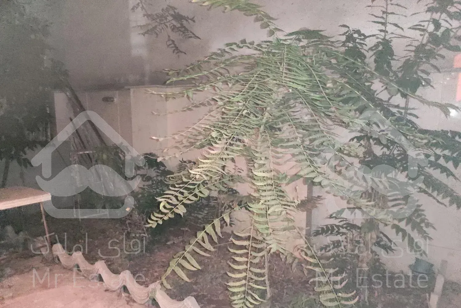 75متر2خواب پیروزی