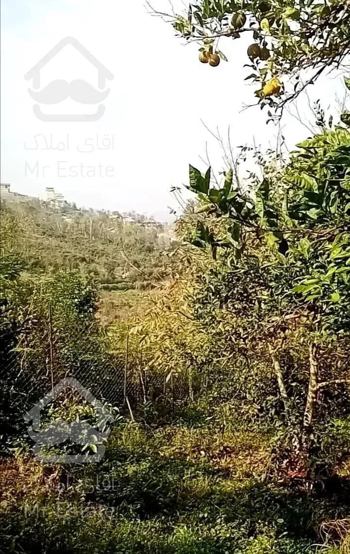 فروش ویلای جنگلی 600متر