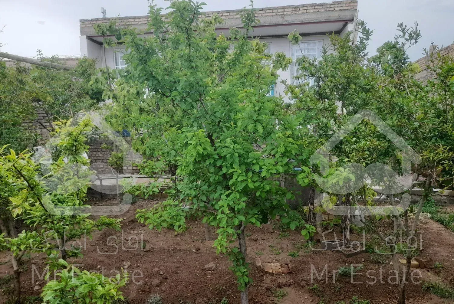 خانه باغ حاجی علی عسکرنصرآبادپیشکوه