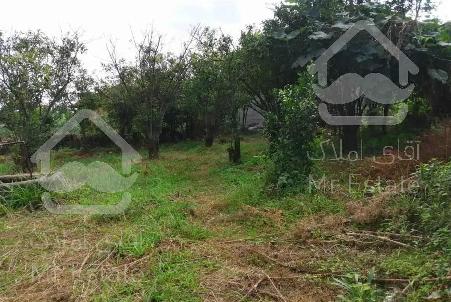 رهن یک واحد خانه قدیمی60 متر با600 متر زمین