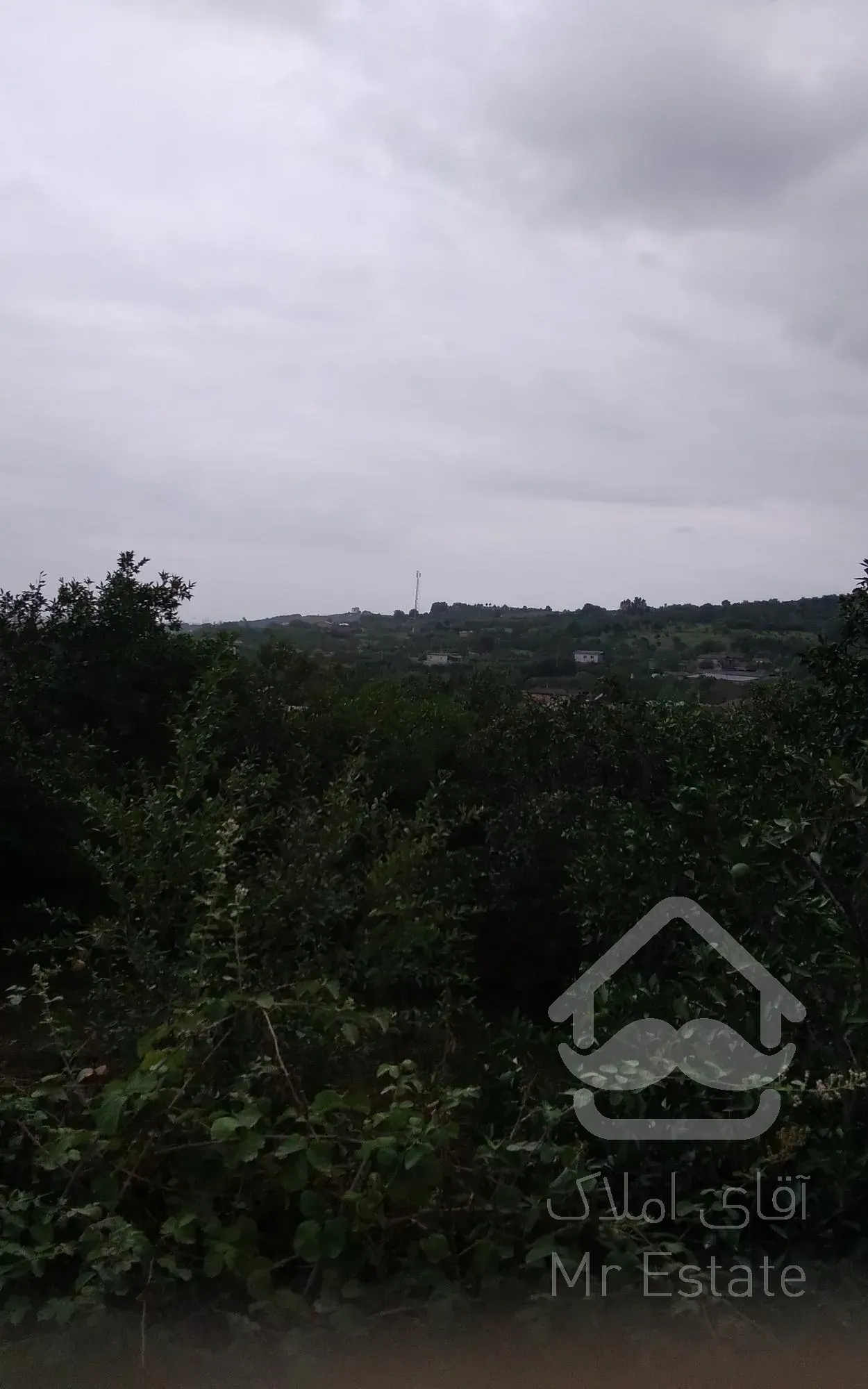 فروش زمین ویلایی بالای تپه نزدیک جنگل