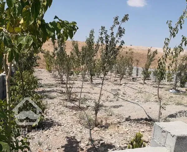 ۲۸۰متر زمین جابان دماوند باغ ویلا