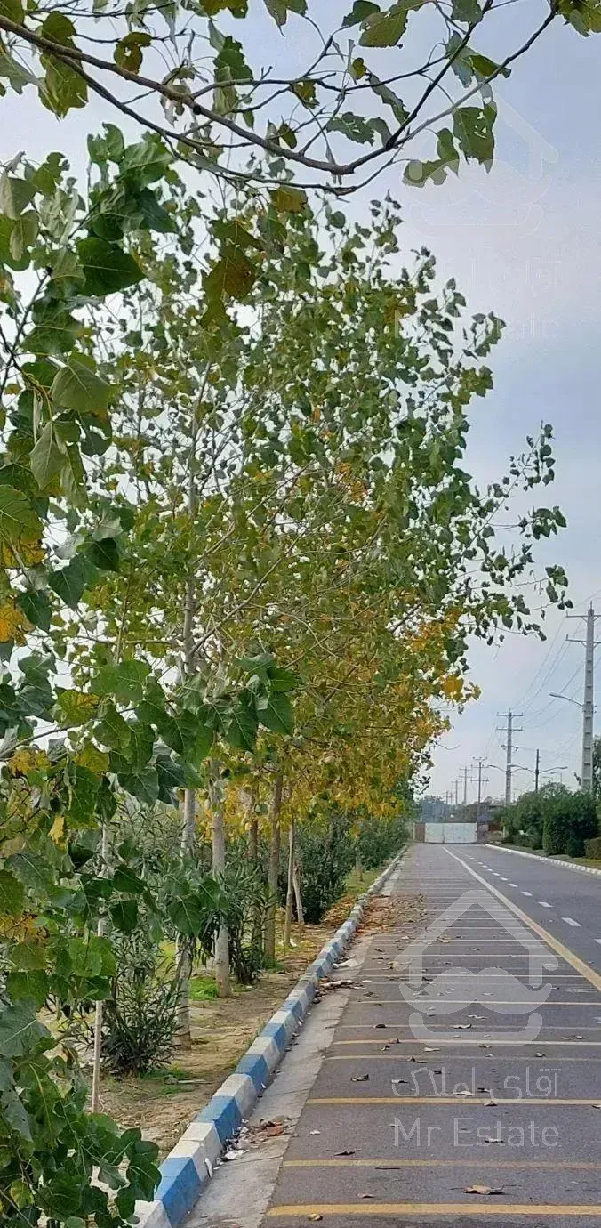 ویلا  آلاچیق دار پلاک اول دریا شیک مناسب تولد