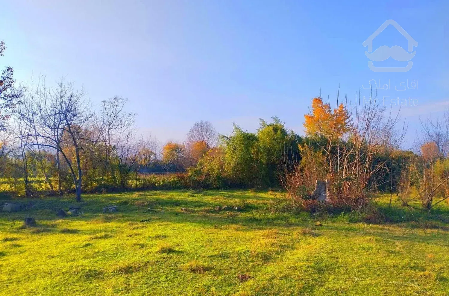 ویلا باغ جنگلی بهشتی ۶۰۸ متر جاده ماسوله