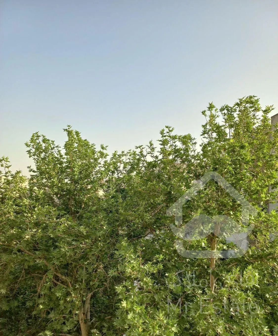 74متر2خواب  (شیان )لویزان ازگل حسین آباد