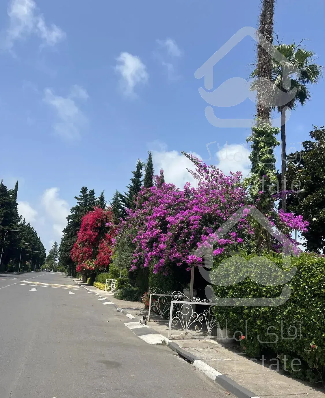 ویلا ١١٠٠ مترى در خیابان مرجان خزرشهرشمالى