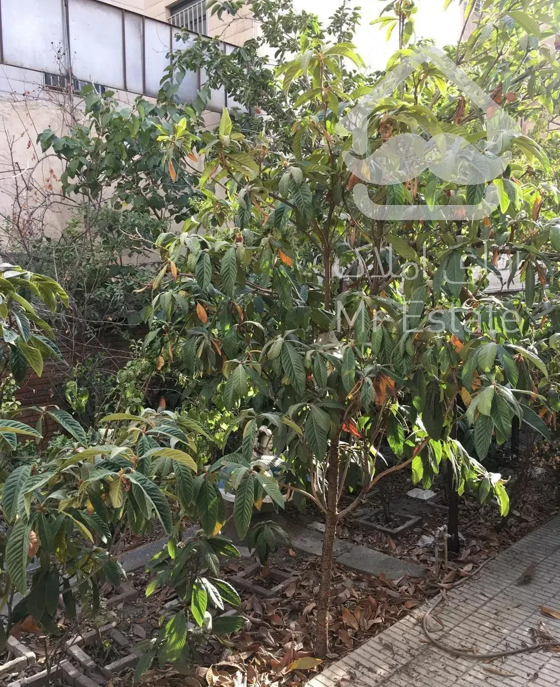 حاجی پور ۱۸۰ متر ۳ خواب حیاط در بست با تراس