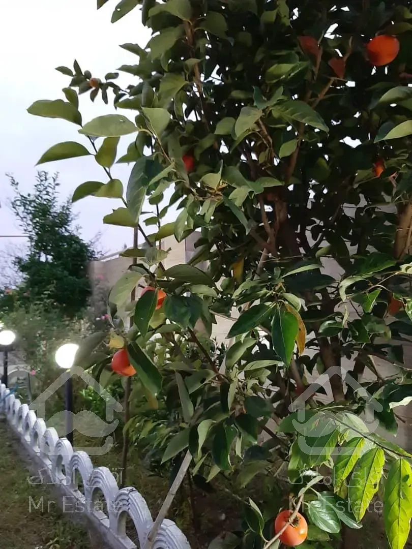 ویلا نوساز سنددار