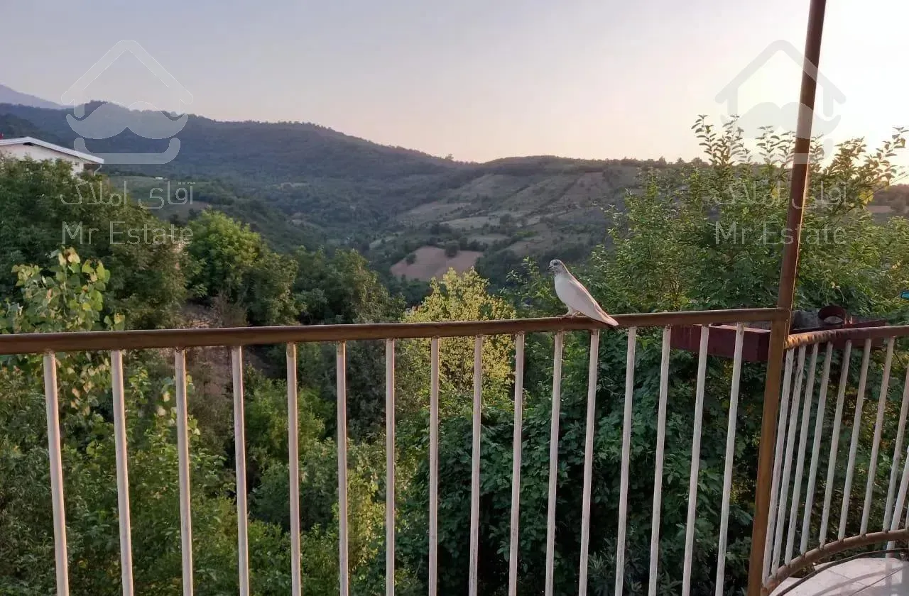 اجاره ویلا جنگلی دربست با ویو ابدی