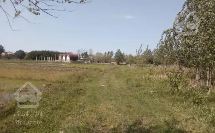 فروش زمین 4200متر ساحلی