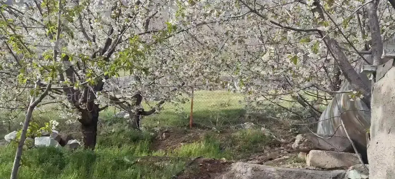 ۴۵۰ متر باغ با ۵۰ متر بنا (امامه بالا)