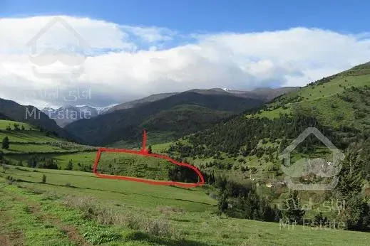 *فروش باغ 10000متردر کنار رود  روستا * شمال گیلان با چشم انداز عالی*