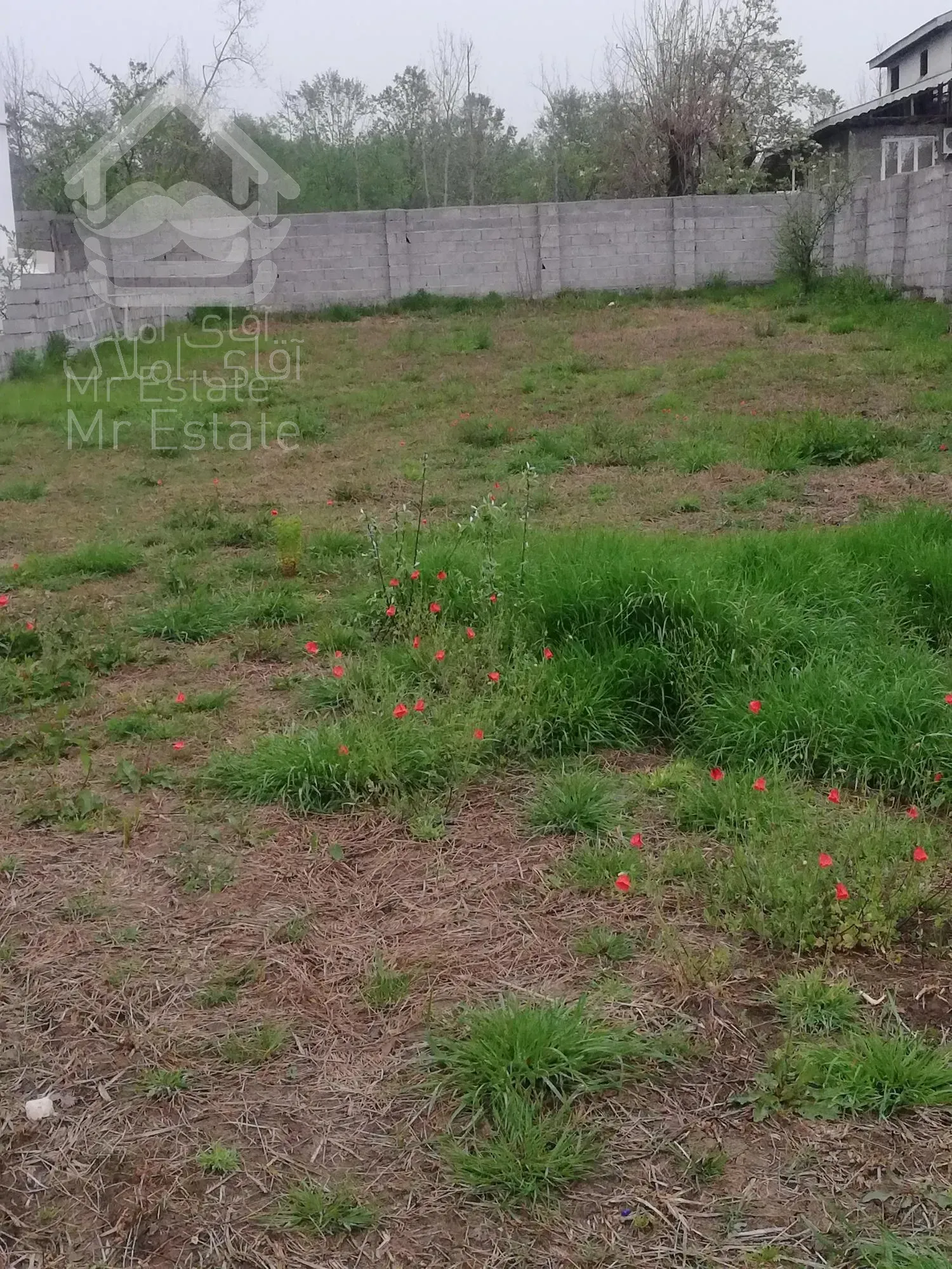 زمین 446متر در ماسال با کاربری مسکونی و مجوز ساخت در منطقه توریستی شاندرمن