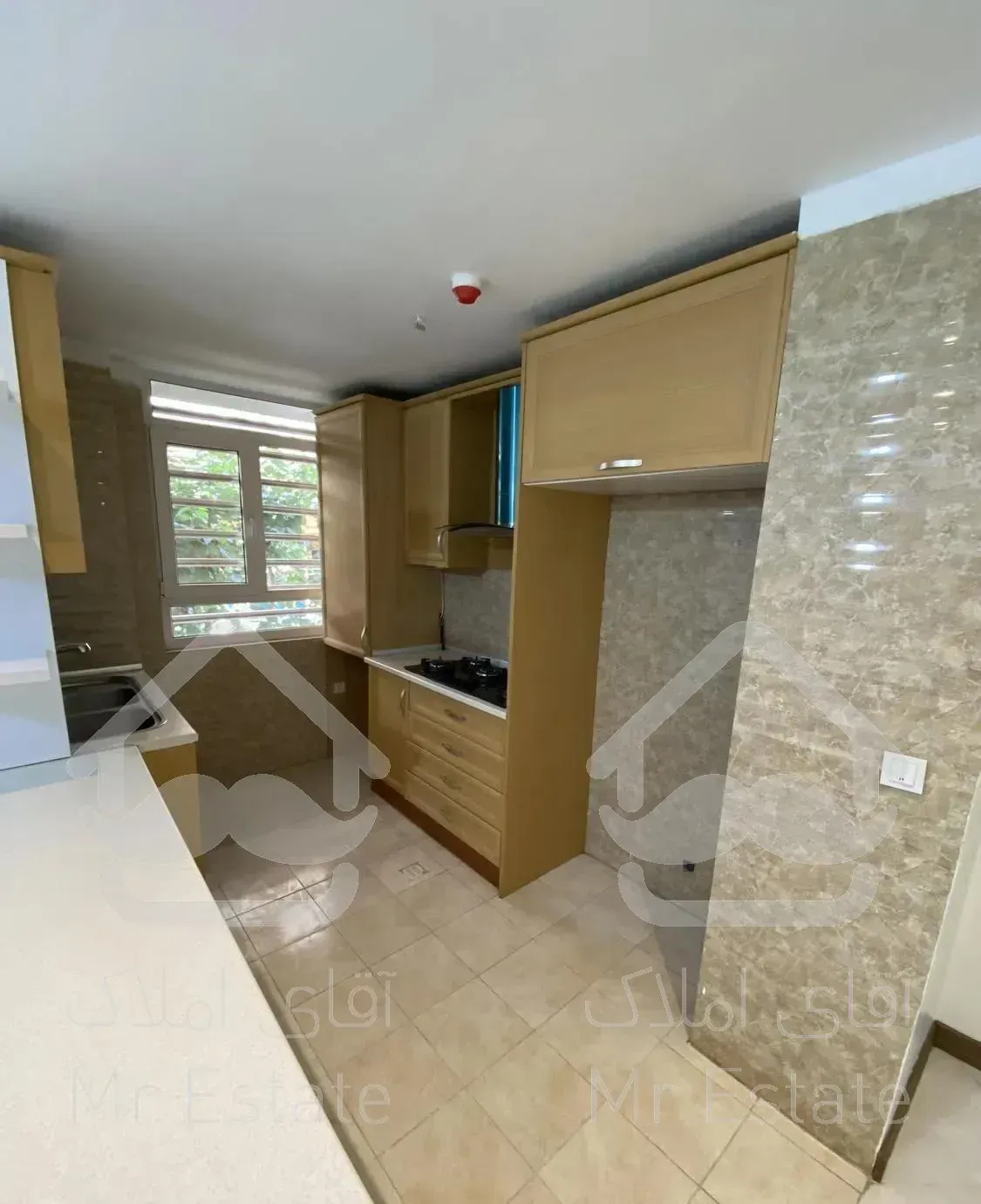 ۵۵ متر روبه جنوب ( فول با تراس ) الاله شرقی