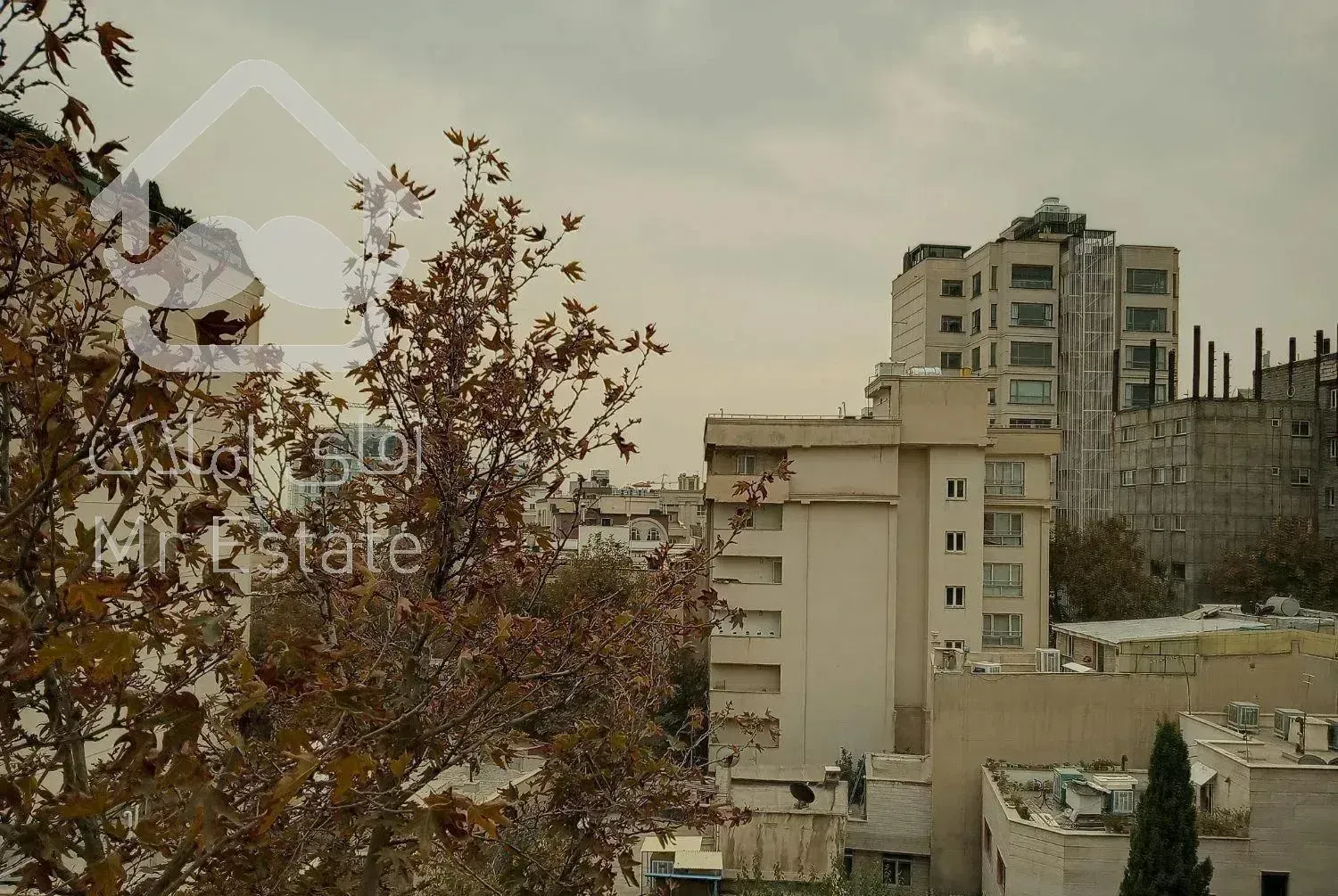 ولیعصر/باغ‌فردوس ۲۰۴متر ۴خواب