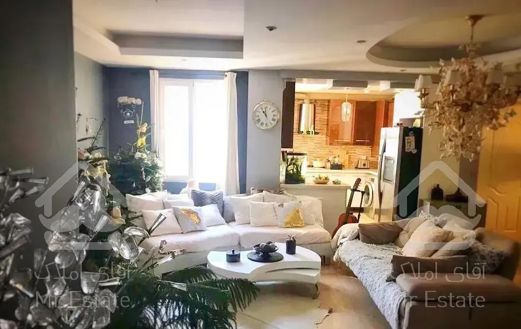 ۶۵ متر - ۱خواب  - فول - مجرد - گیشا