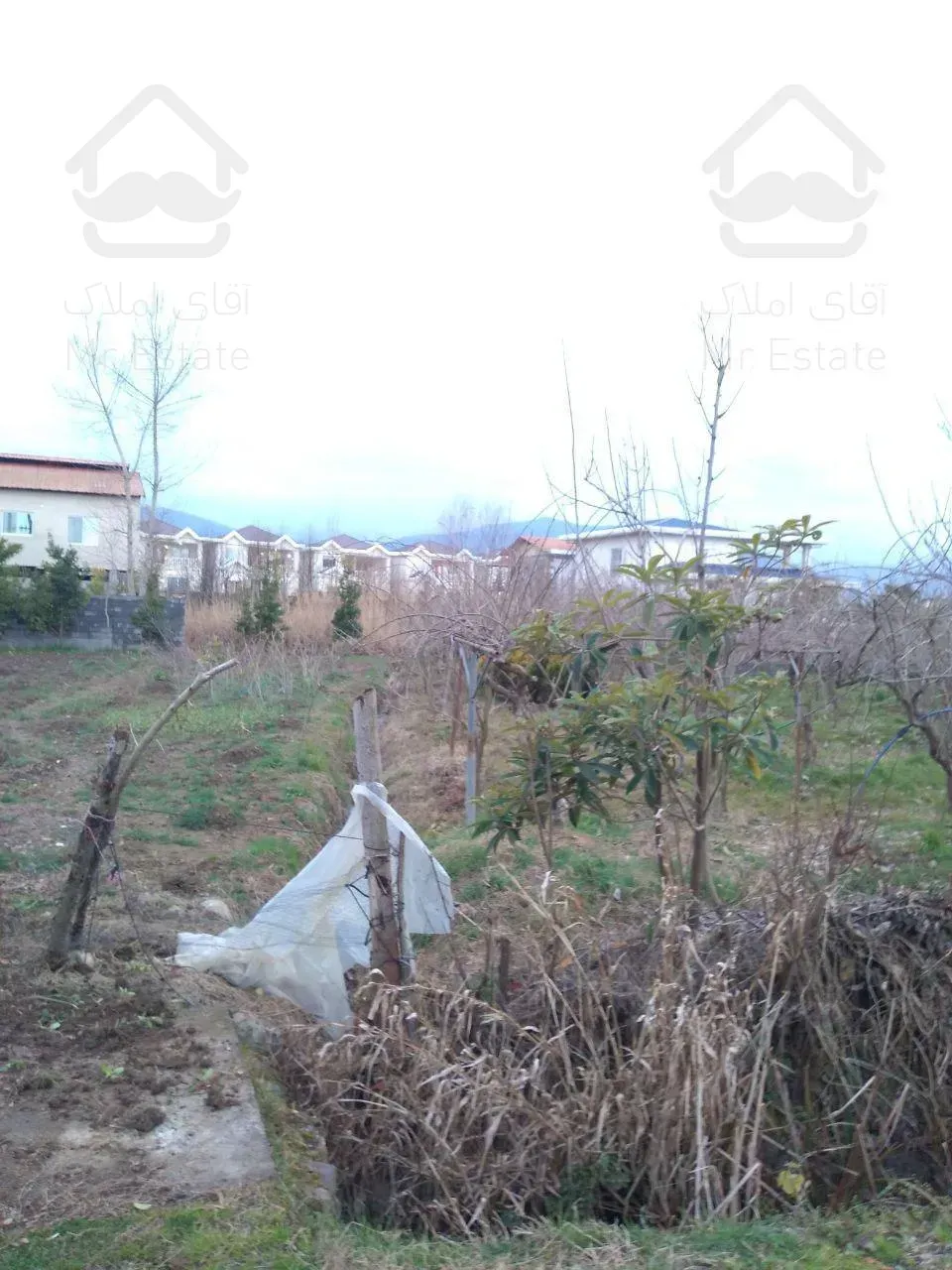 فروش زمین،حوزه شهری شیرود