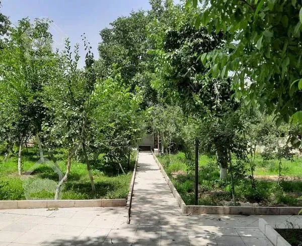 باغ قدیمی بسیارزیبا