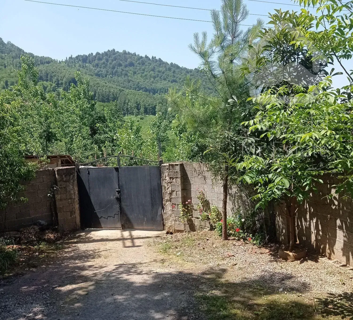 ویلا جنگلی توریستی ماسال سالانه روزانه میدم