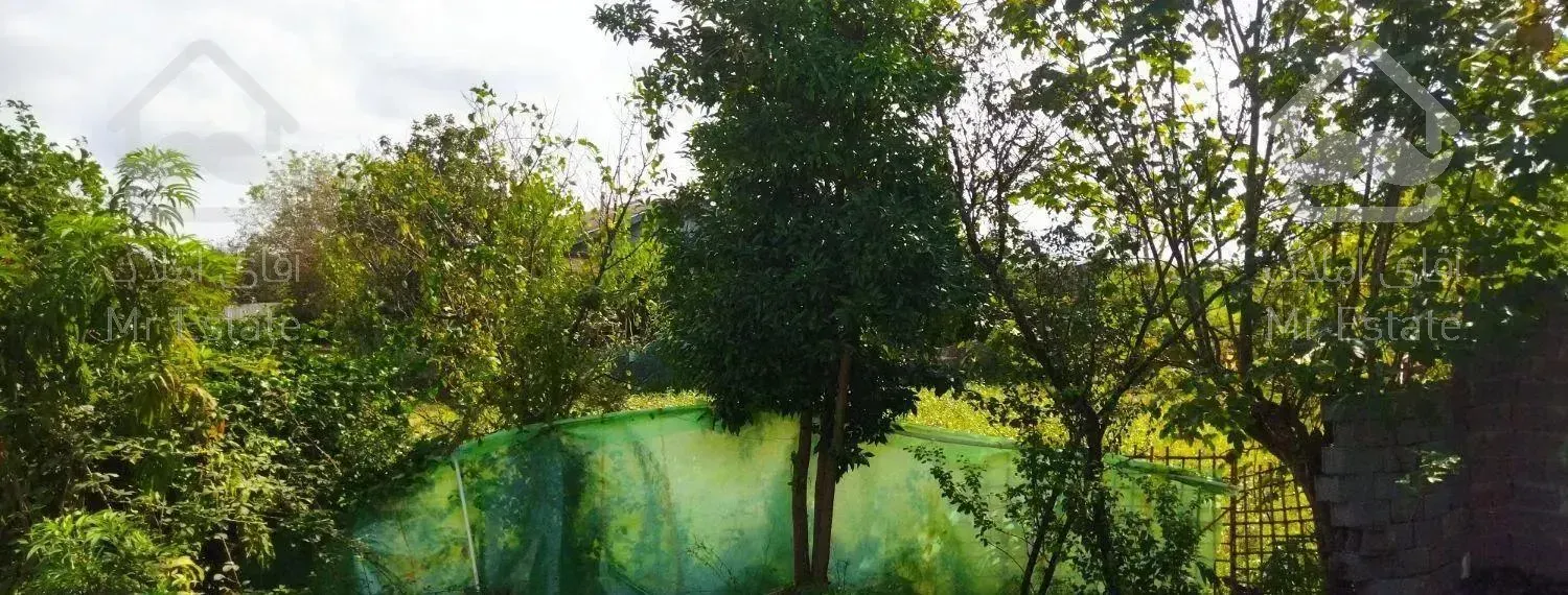 ویلای ۵۰۰ متری درمحدودی لشت نشا