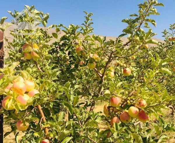 زمین باغ کاربردی