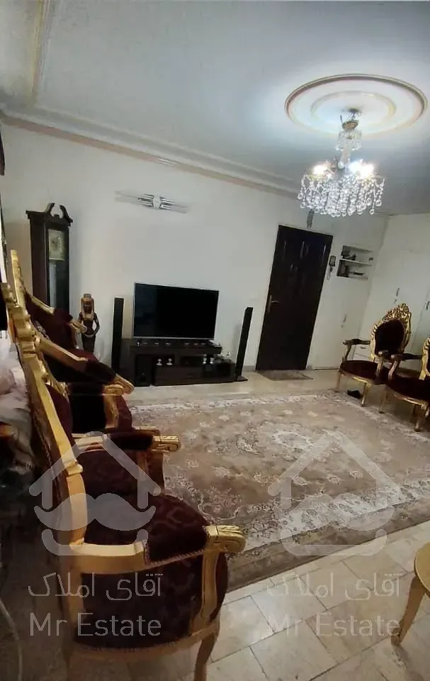 ۶۰متر/همکف/صفدری