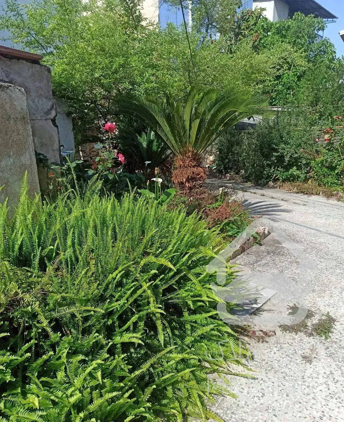 روستایی ،5دقیقه با شهر و دریا،دسترسی