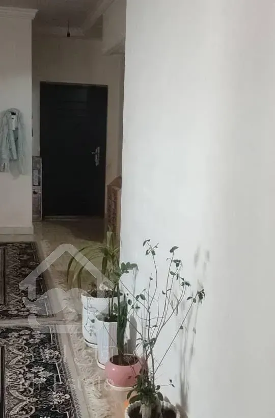 مجتمع آپارتمان سپاه برازجان قائم