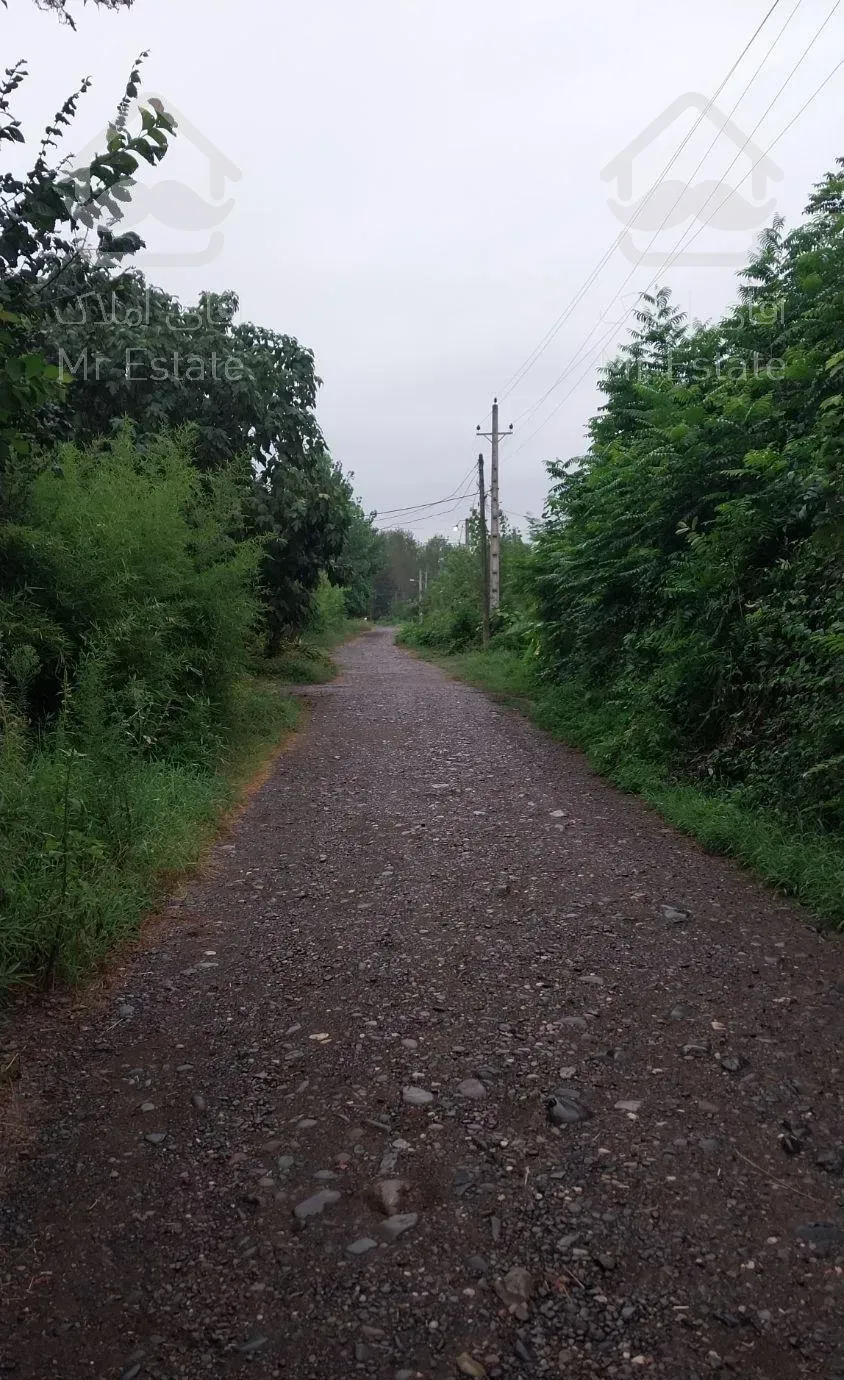 اجاره ویلا روزانه