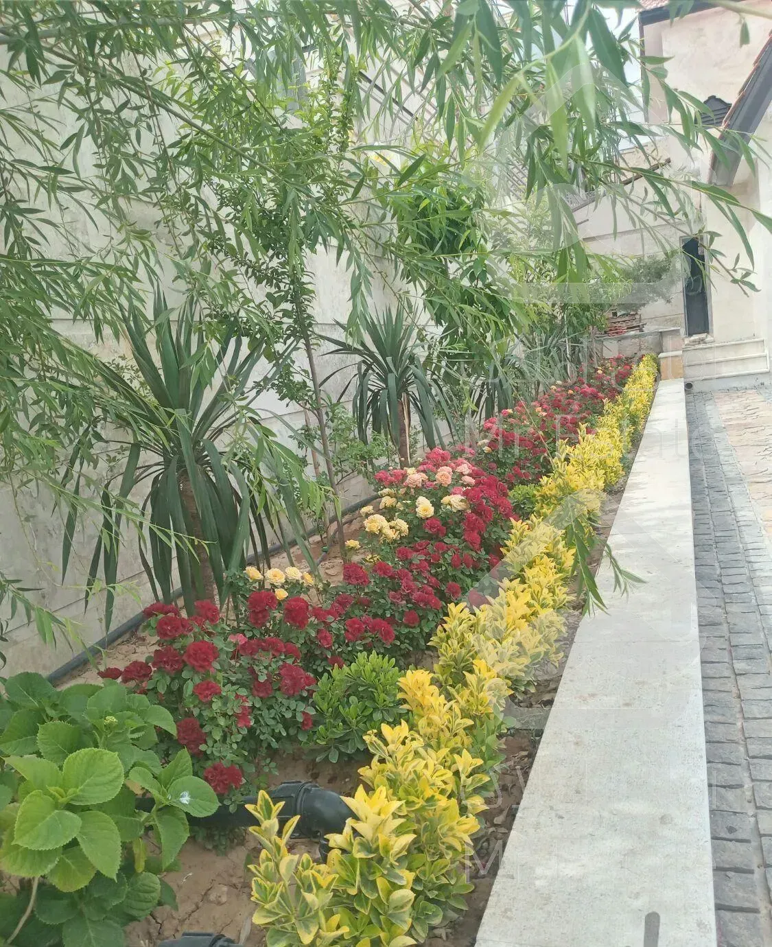 ابیاری قطره ای محوطه سازی فضای سبز دیوارکشی