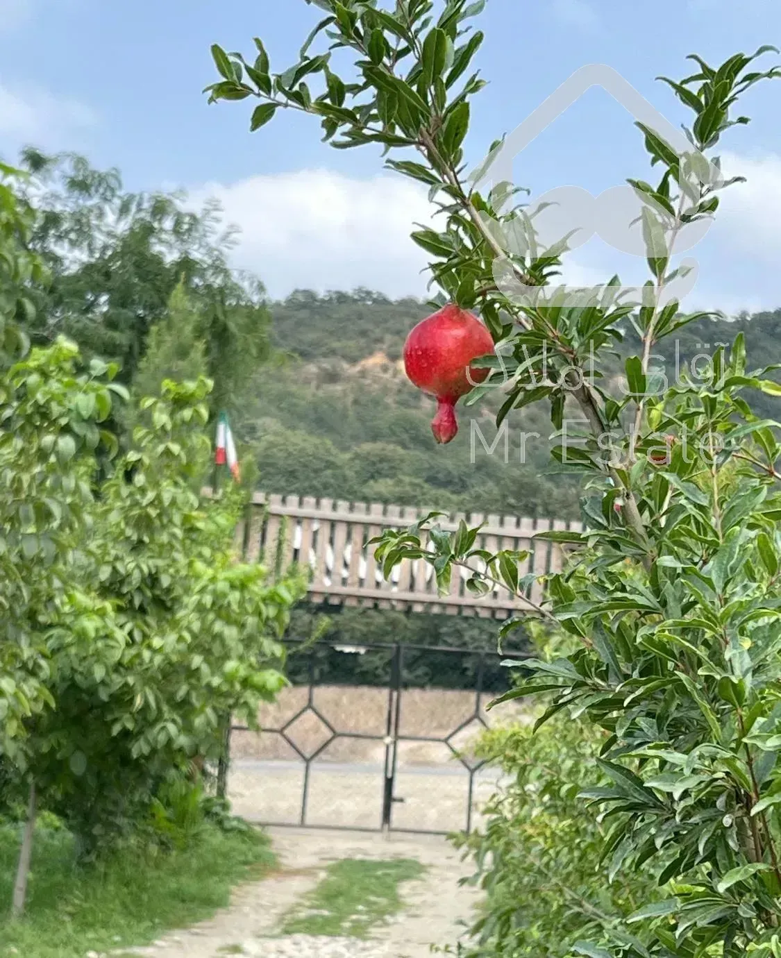 کلبه سنتی جنگلی شصت کلا