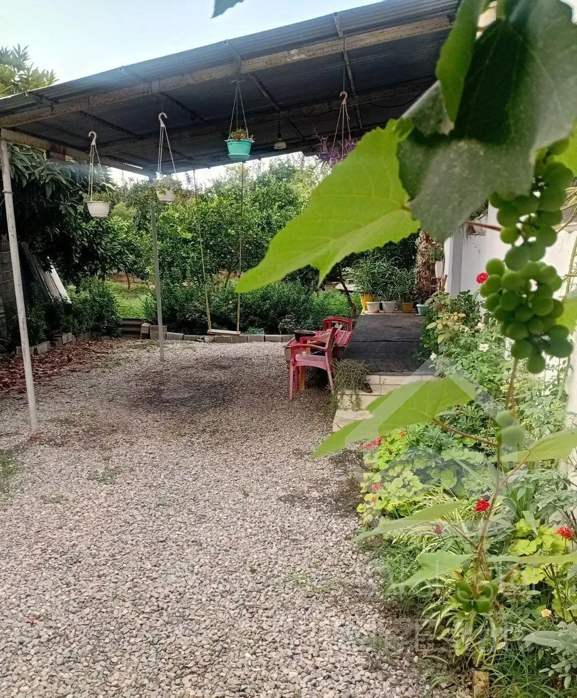 خونه باغ فروشی