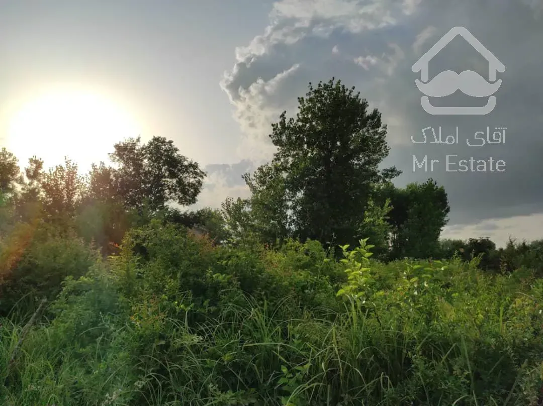 زمین کاربری باغی