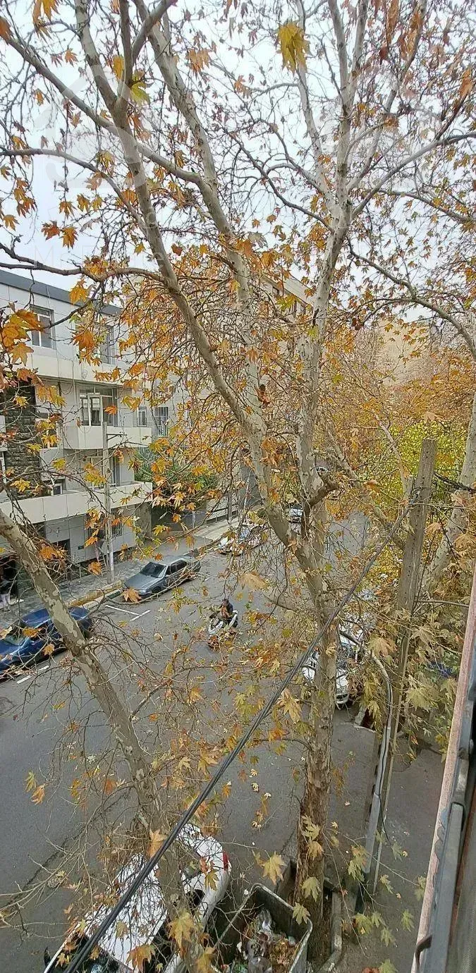 ۶۱ متری دو خواب/فول امکانات/خیابان نادری.فریمان