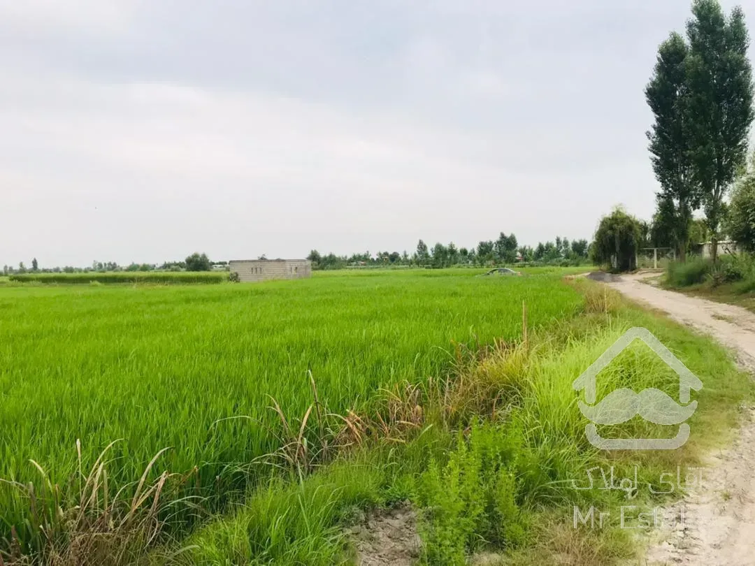 فروش فوری زمین ۴۰۰۰ متر با شرایط پرداخت عالی و یا تهاتر با ماشین