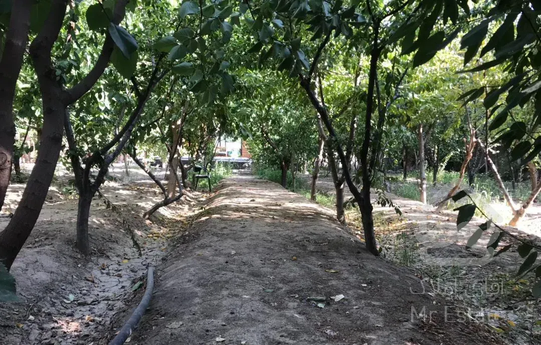 ویلا باغ 1950 متری دو خواب سند تک برگ