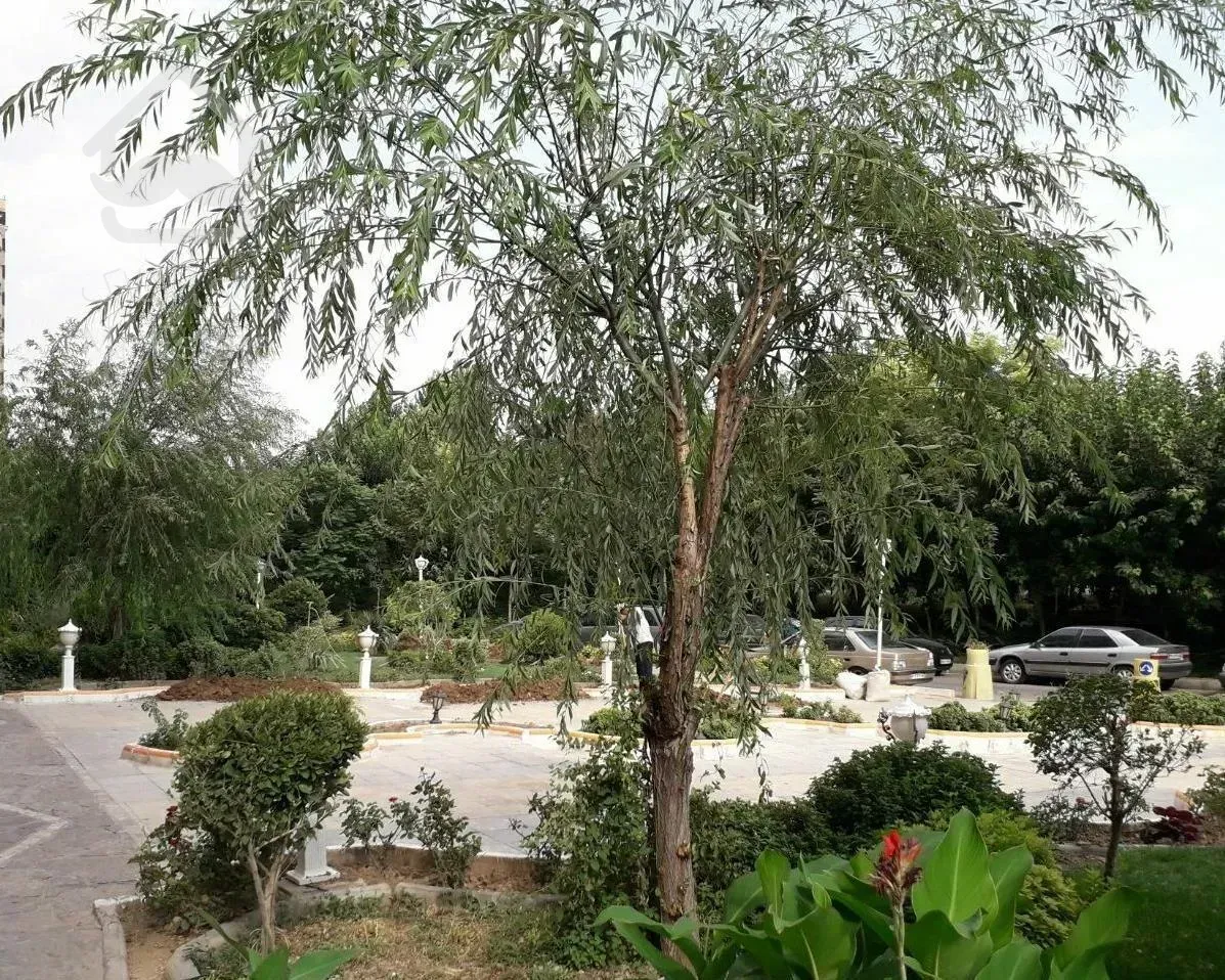 ۸۰ متر  تک خواب/  مبله / محیط مشجر جنب جنگل دریاچه