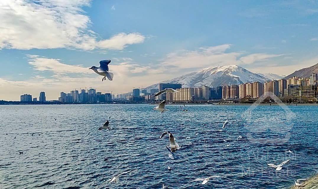 پیش فروش واحد ۱۱۰ متر/مجلل و زیبا/دهکده المپیک