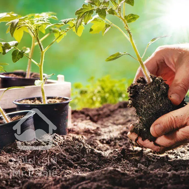 فروش انواع گل وگیاه ودرختان بن بالا زیرقیمت منطقه