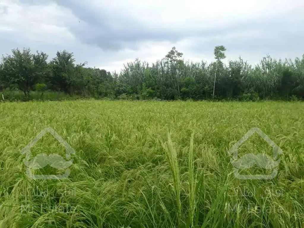 زمین۲۷هکتاری با کلی امکانات