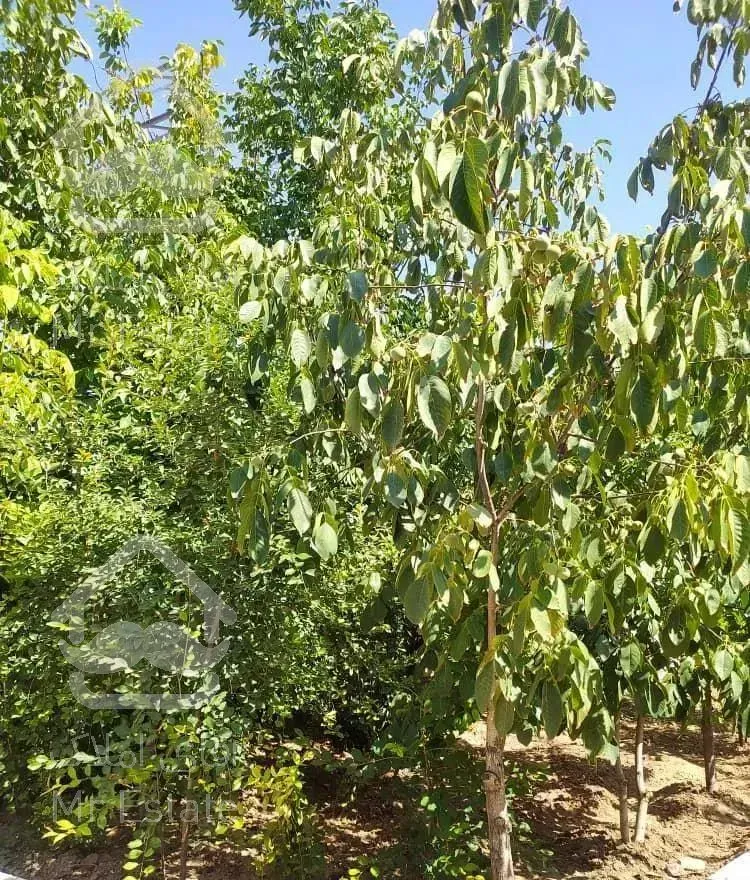 ۵۰۰ متر باغ ویلا  فوق