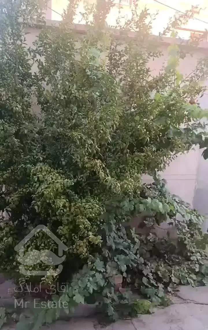 رهن و اجاره