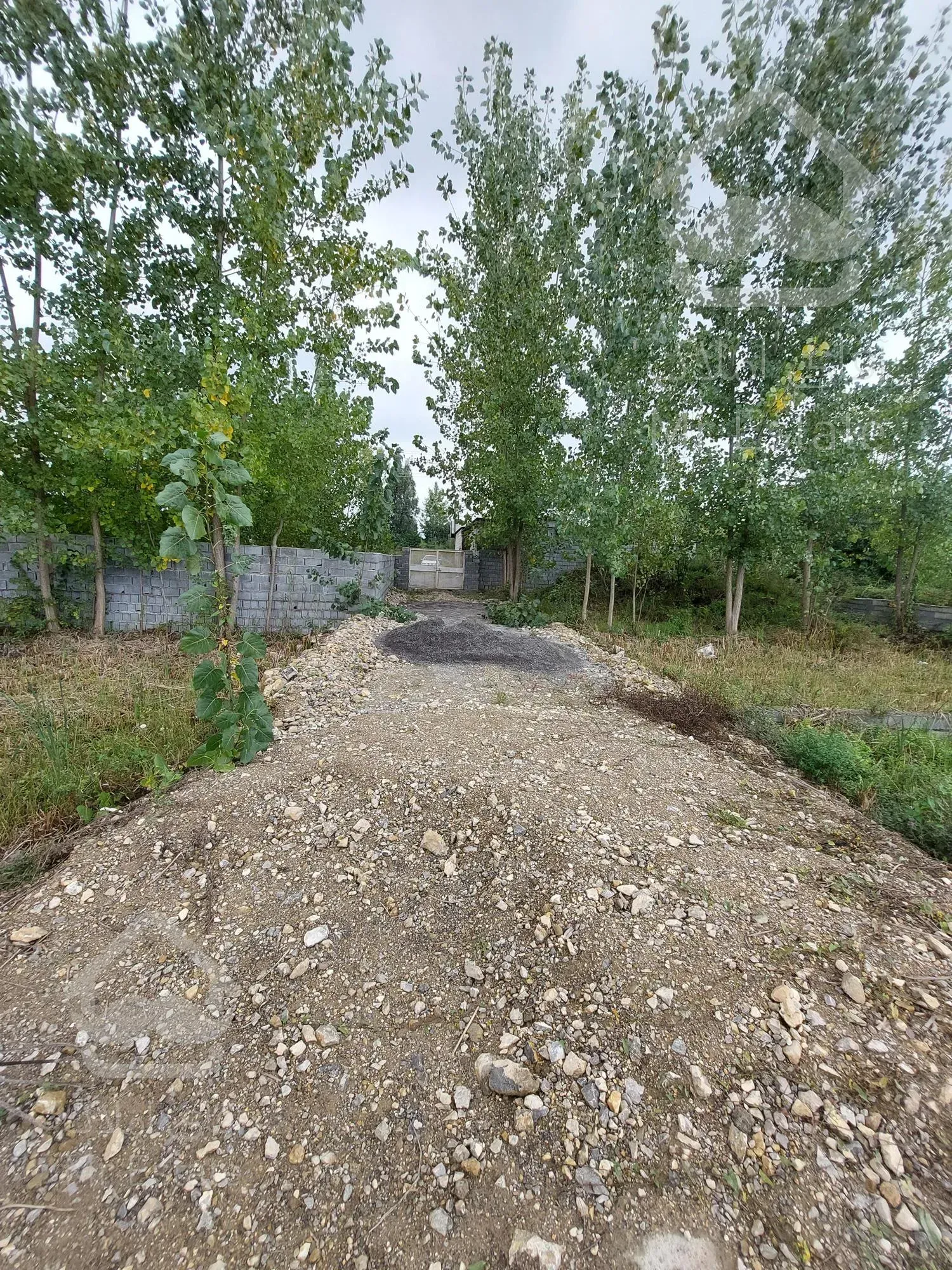 ۲۴۵متر زمین .بافت مسکونی .سند تکـــبرگ