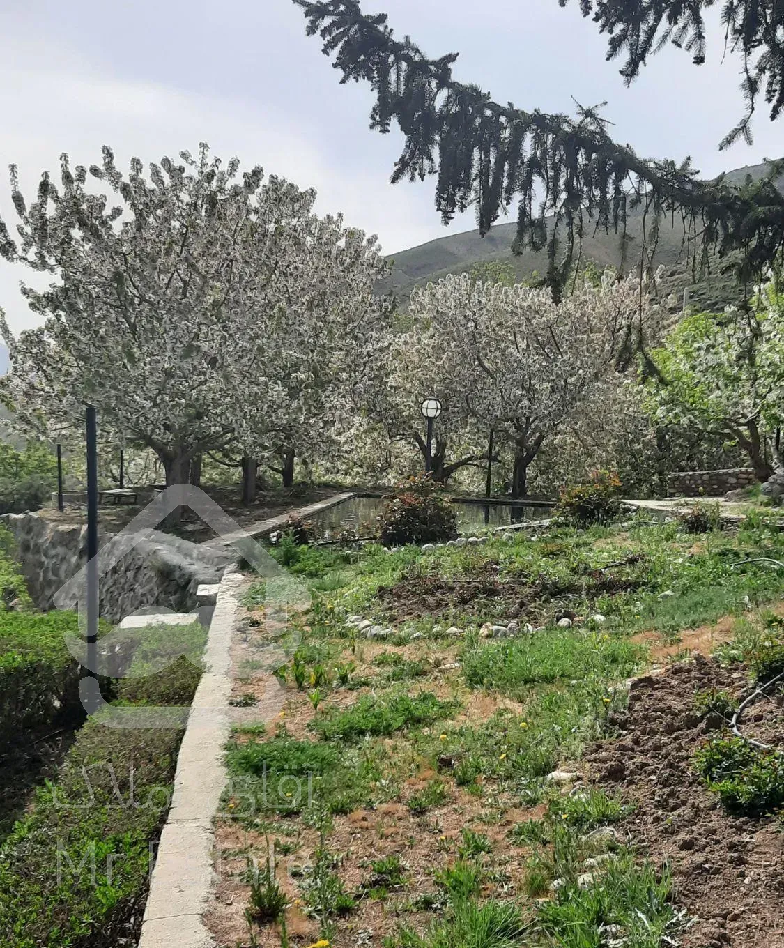 فروش ۵۰۰متری لواسان