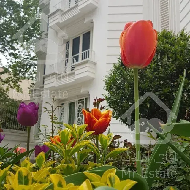 ۱۷۵ متر فرمانیه سنبل اپارتمان فروش