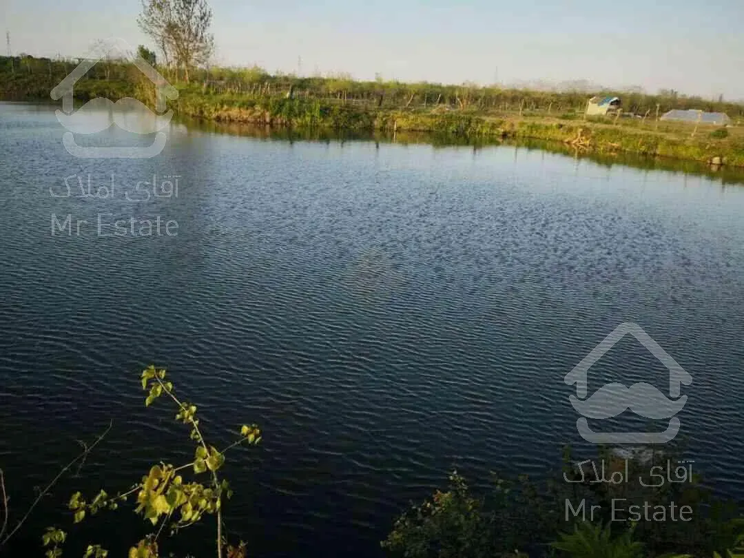 استخرماهی همراه امتیاز وام میلیاردی گیلان