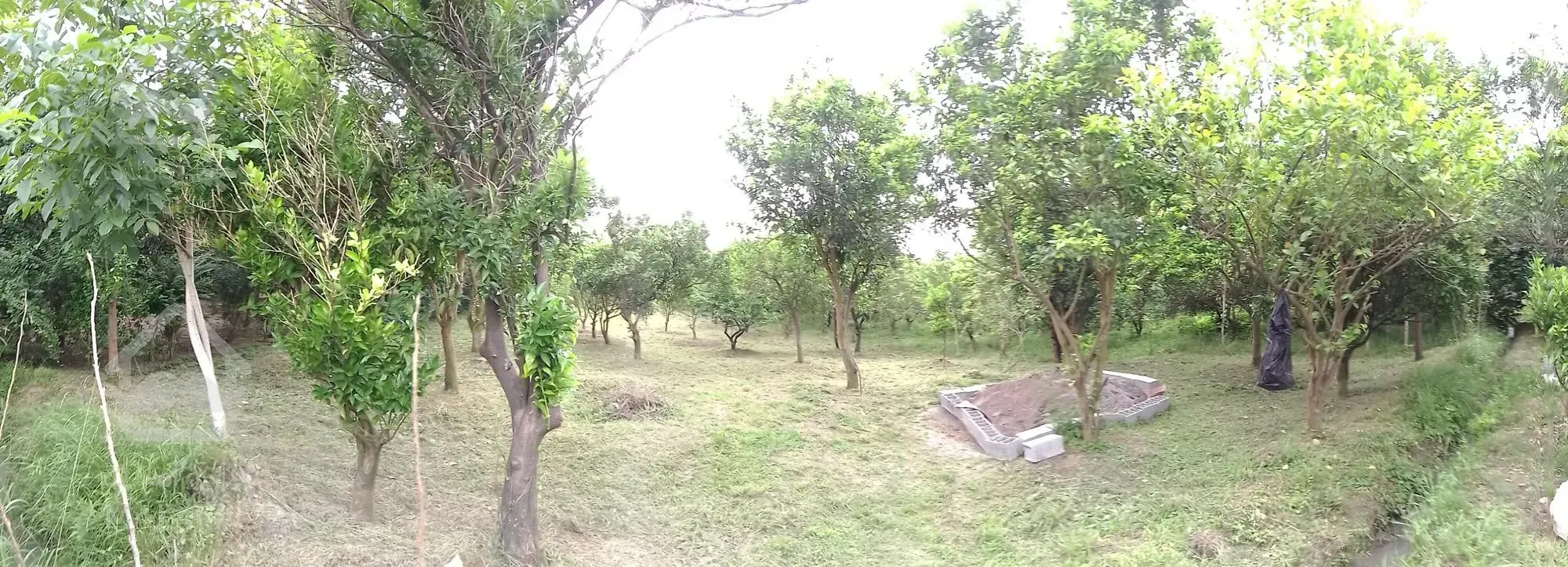 قطعه 500 متری داخل بافت